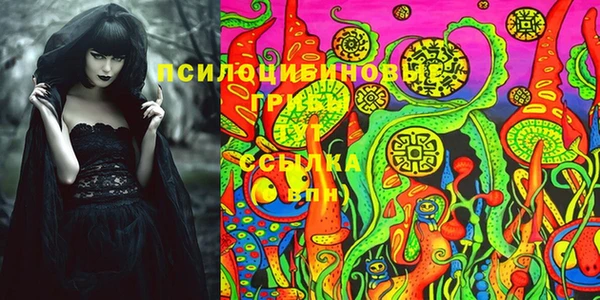 шишки Баксан
