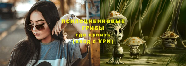 шишки Баксан