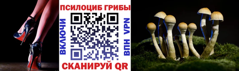 Галлюциногенные грибы GOLDEN TEACHER  купить закладку  Короча 